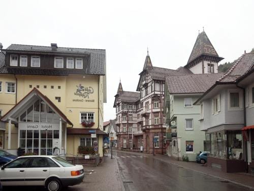 Ferienwohnung, Bad Peterstal Hotel in Ortenau