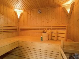 Chalet in Mittersill near Ski Slopes Hotel in Salzburgerland