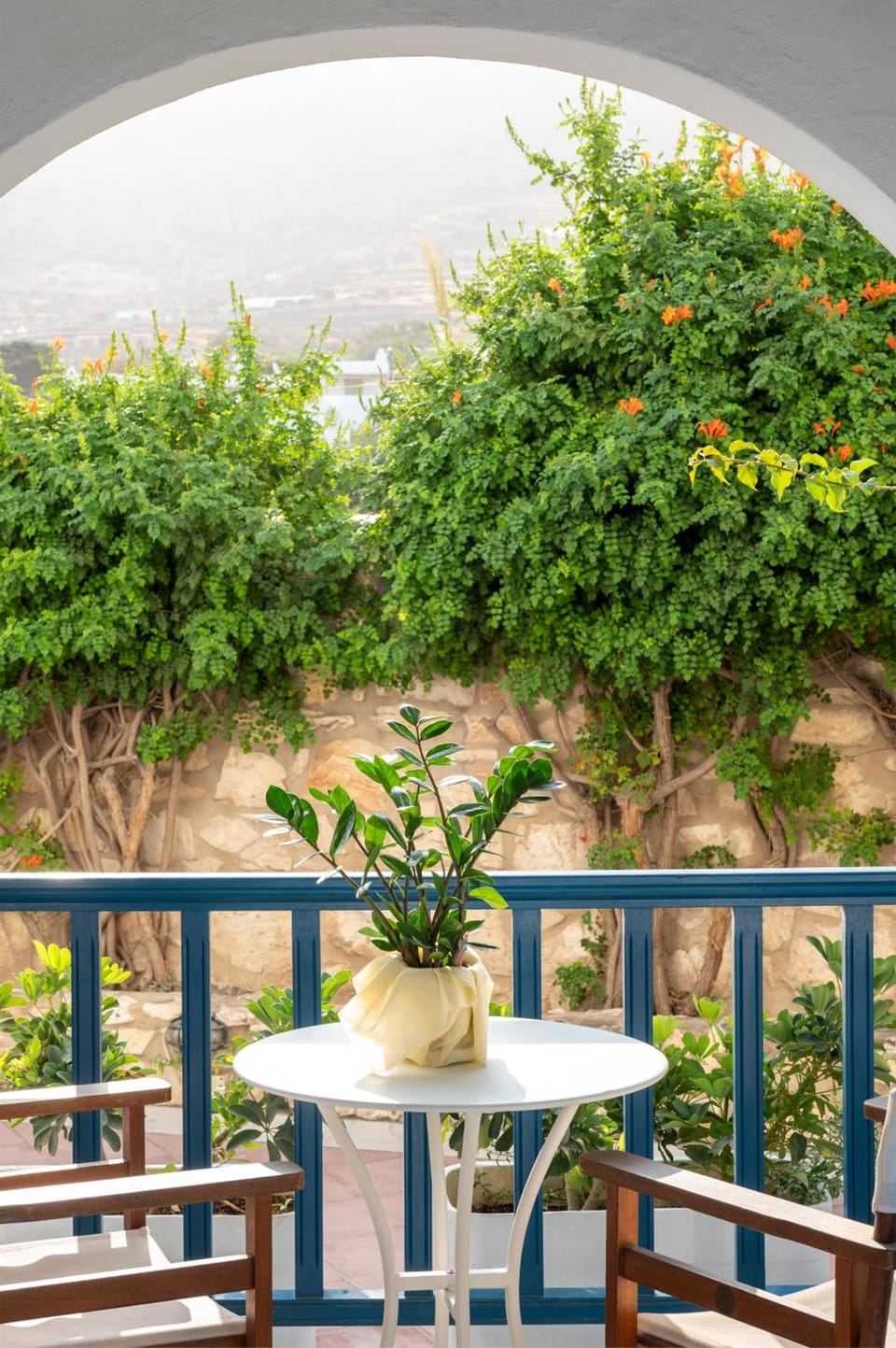 Hotel Aegeon Hotel in Paros