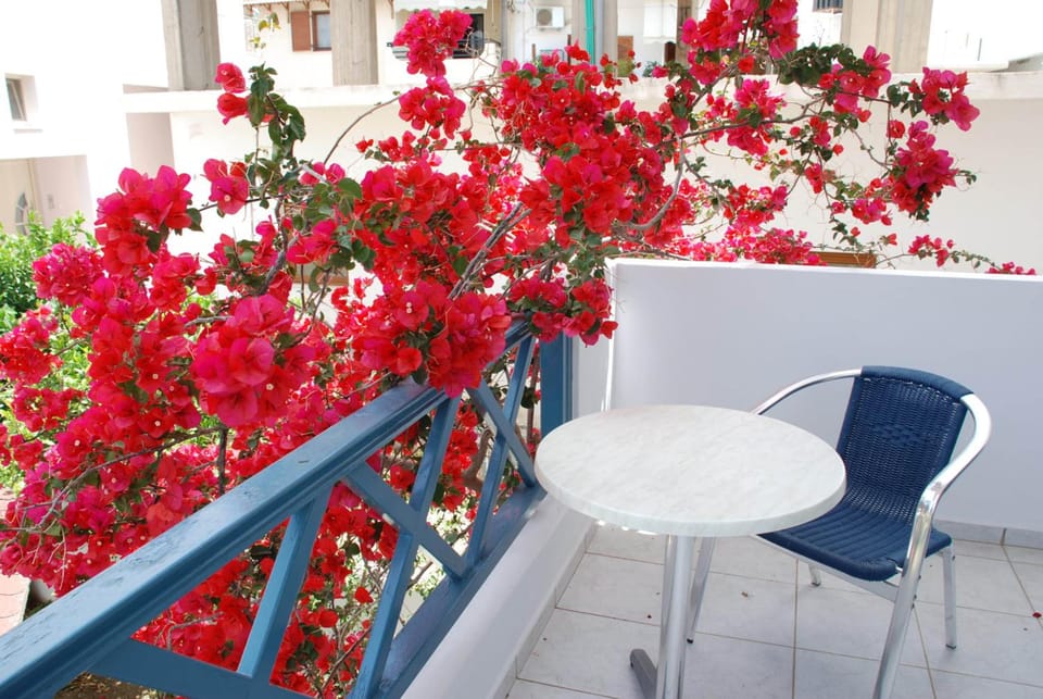 Villa Irida Apartment hotel in Lasithi