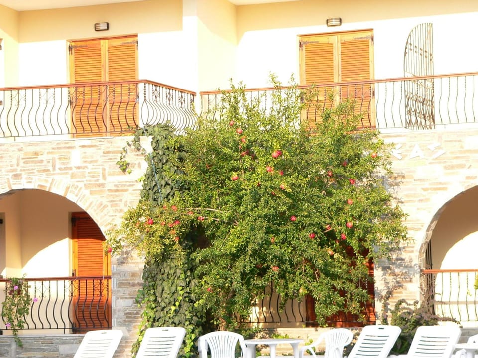 Hotel Argo Apartment hotel in Halkidiki