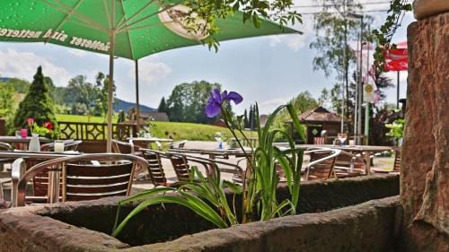 Gruner Hof Hotel in Ortenau