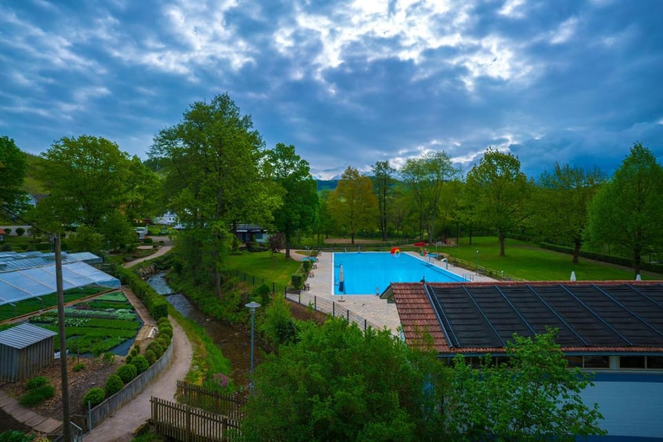 Hotel Linde Durbach Hotel in Offenburg