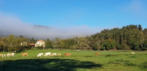 Le Riolet Hotel in Auvergne-Rhône-Alpes