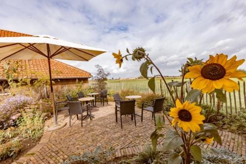 B&B Stefans Pottery Hotel in Flanders