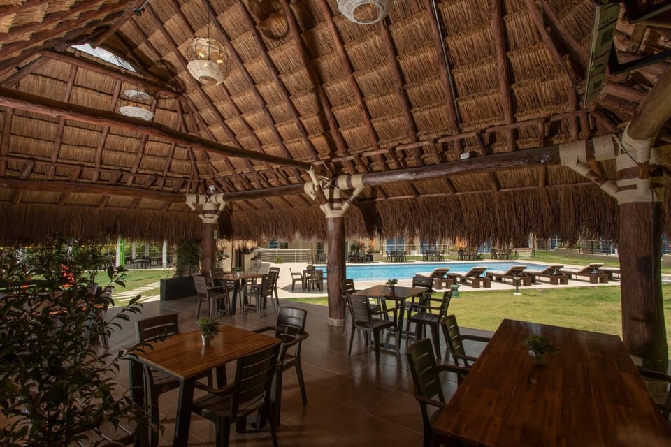 Bar/lounge