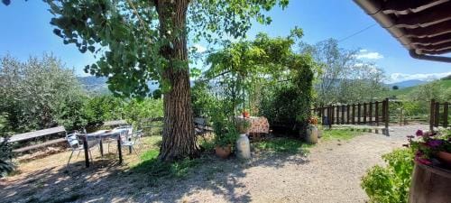 La Locanda dei Cavalieri Affittacamere Hotel in Emilia-Romagna