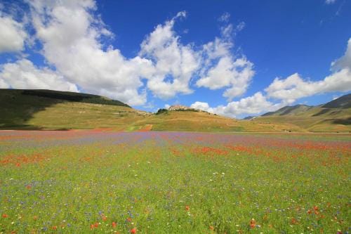 Albergo Benito Hotel in Umbria