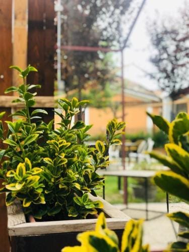 Dolce Nera B&B Hotel in Umbria