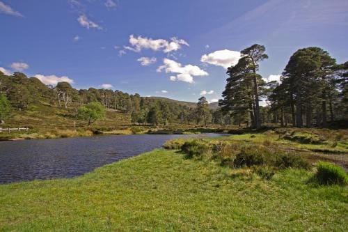 Ballater Hostel Hostel in Ballater