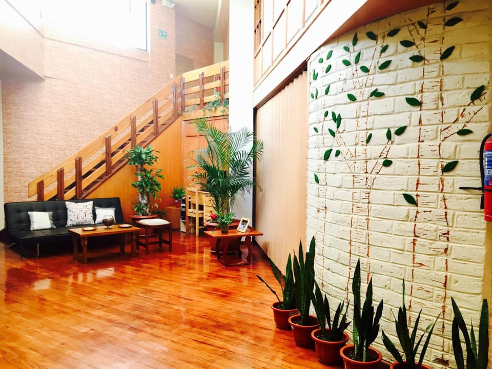 Quito Terrace Hostel in Quito