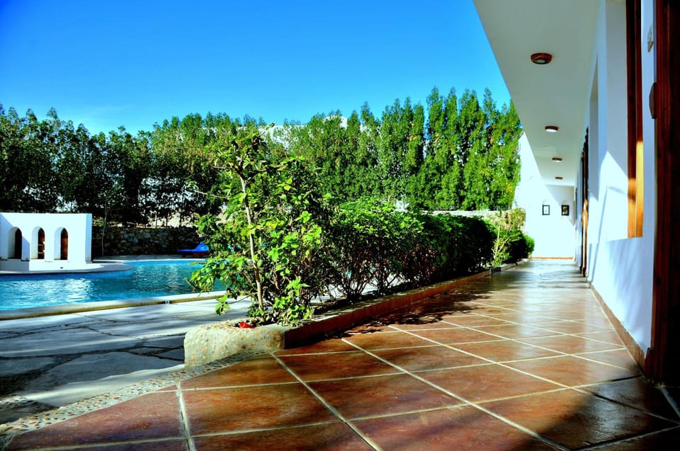 Dahab Divers Hostel in South Sinai Governorate