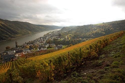 Gutsschanke Sennerhof Hotel in Rhein-Hunsrück-Kreis