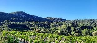 Au Soleil du Bonheur Hotel in Provence-Alpes-Côte d'Azur