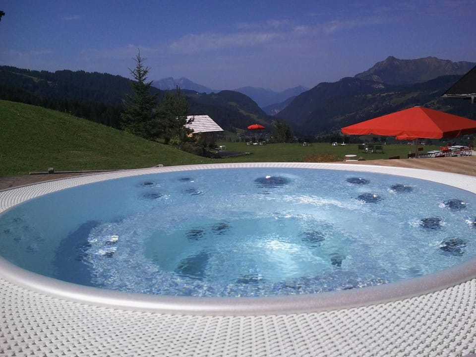 Le Lodge Chasse Montagne Hotel in Les Gets