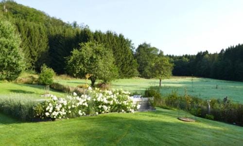 Le Clos du Cerf - Silence & nature Hotel in Wallonia, Belgium