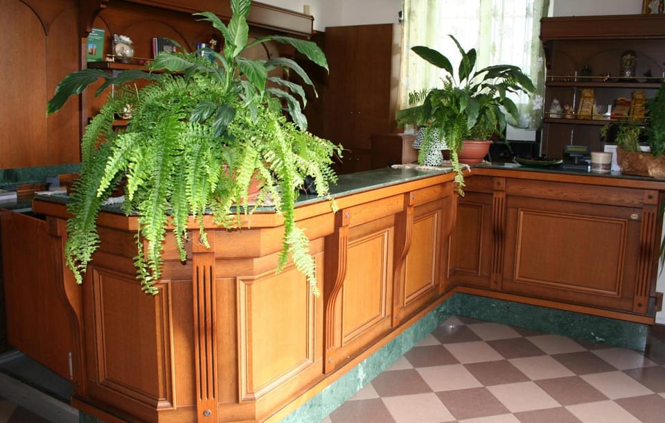 Da Santo Hotel Ristorante Pizzeria Hotel in Veneto