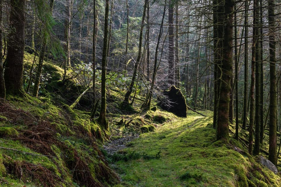 Inveraray Hostel Hostel in Scotland