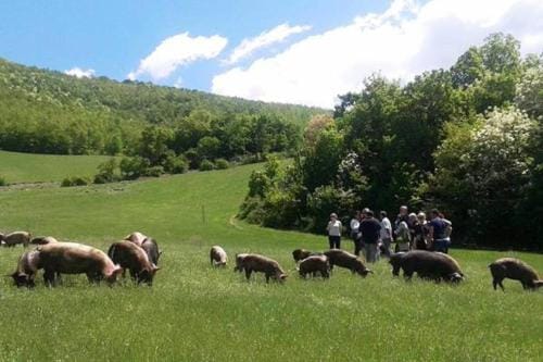 Resort la dimora Maiale brado di Norcia Hotel in Umbria