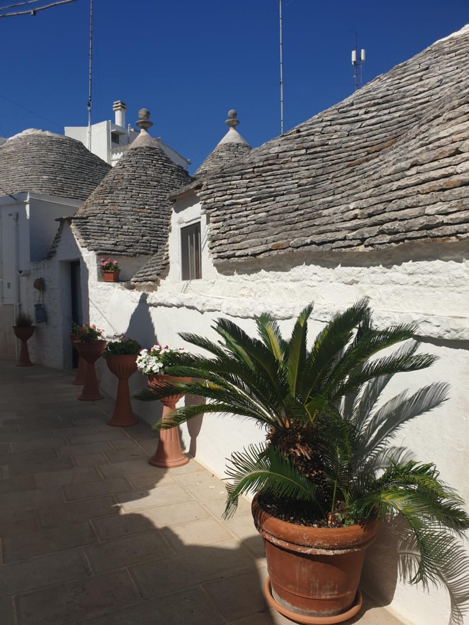 Giardino Dei Trulli Apartment hotel in Province of Taranto