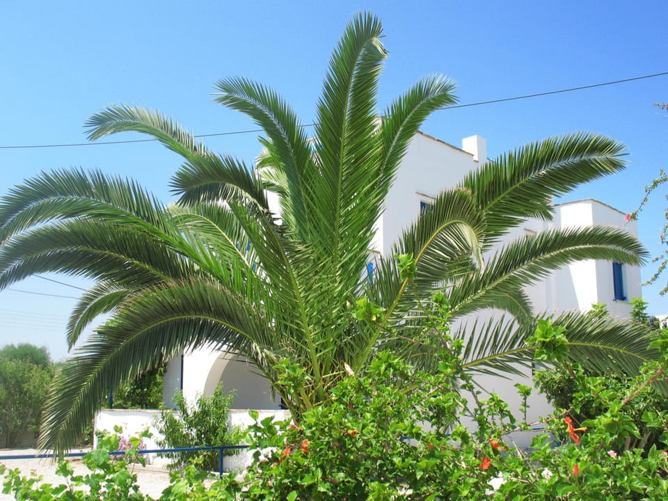Mavromatis Studios Hotel in Naxos
