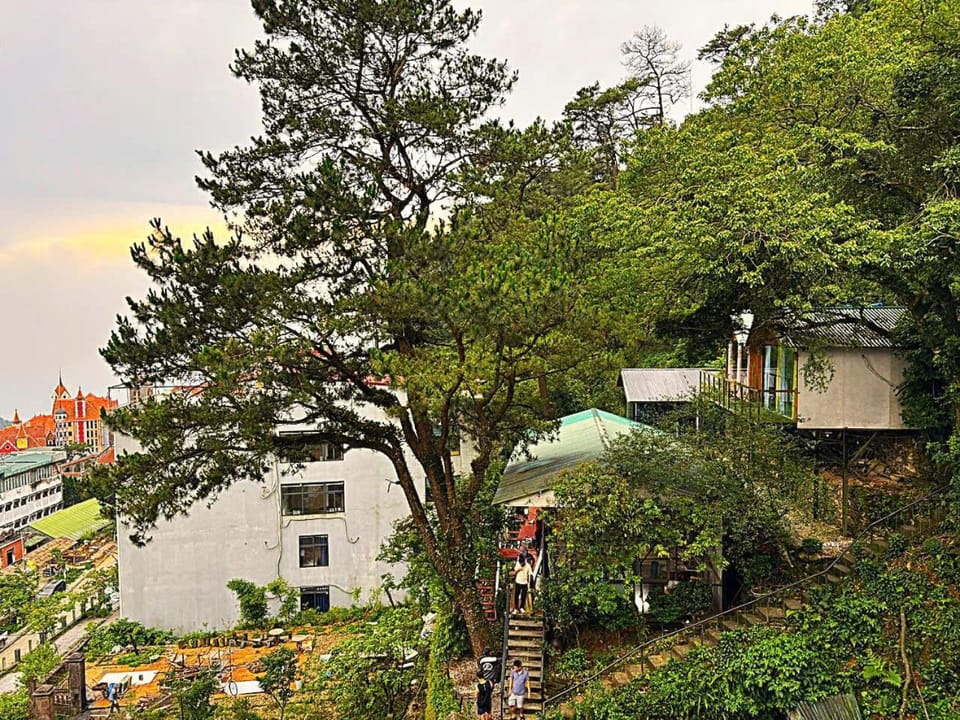 Surrounding environment