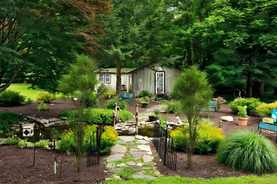 Surrounding environment