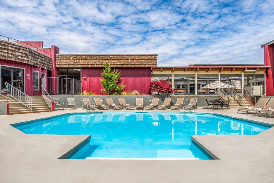 Swimming pool [outdoor]