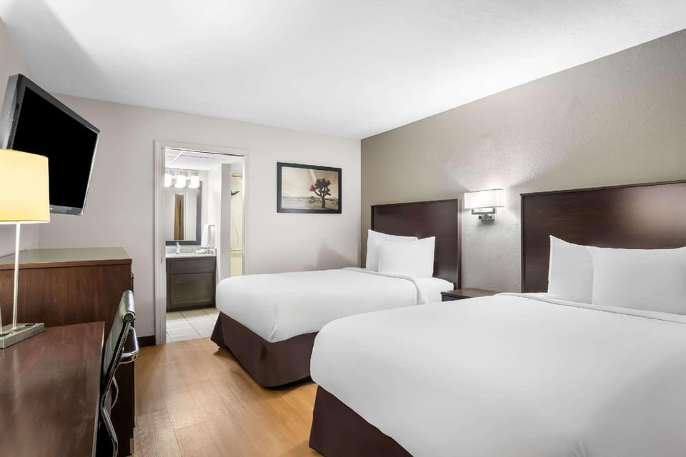 Suite room