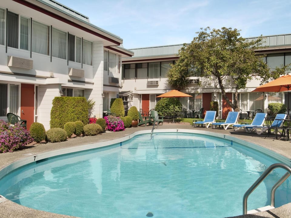 Swimming pool [outdoor]