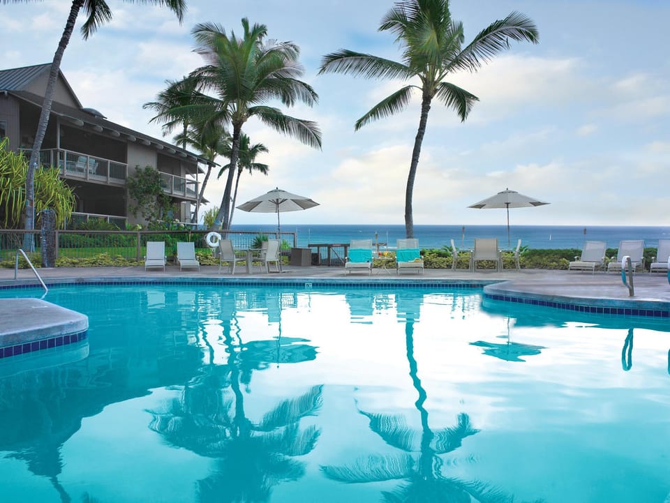 Swimming pool [outdoor]