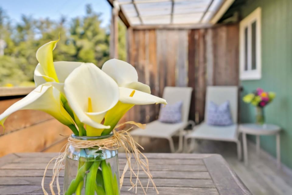 Bodega Bay Inn Inn in Bodega Bay