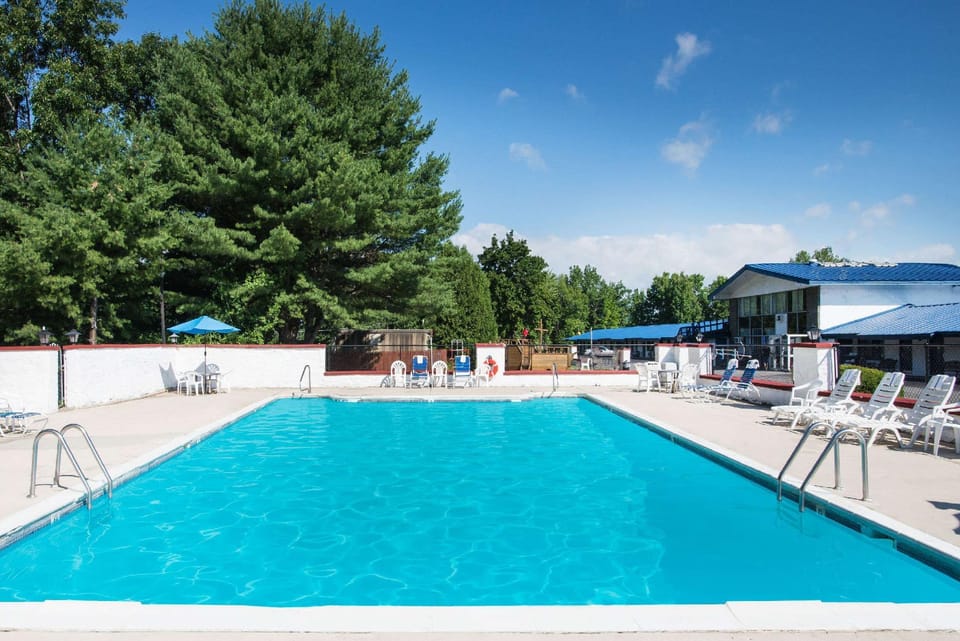 Swimming pool [outdoor]