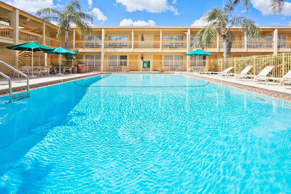 Swimming pool [outdoor]