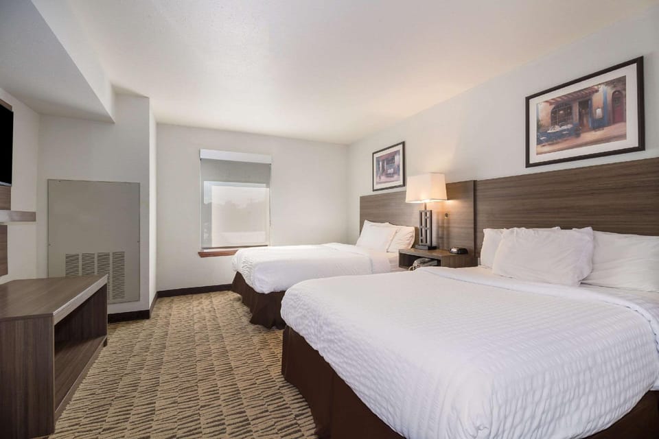 Suite room