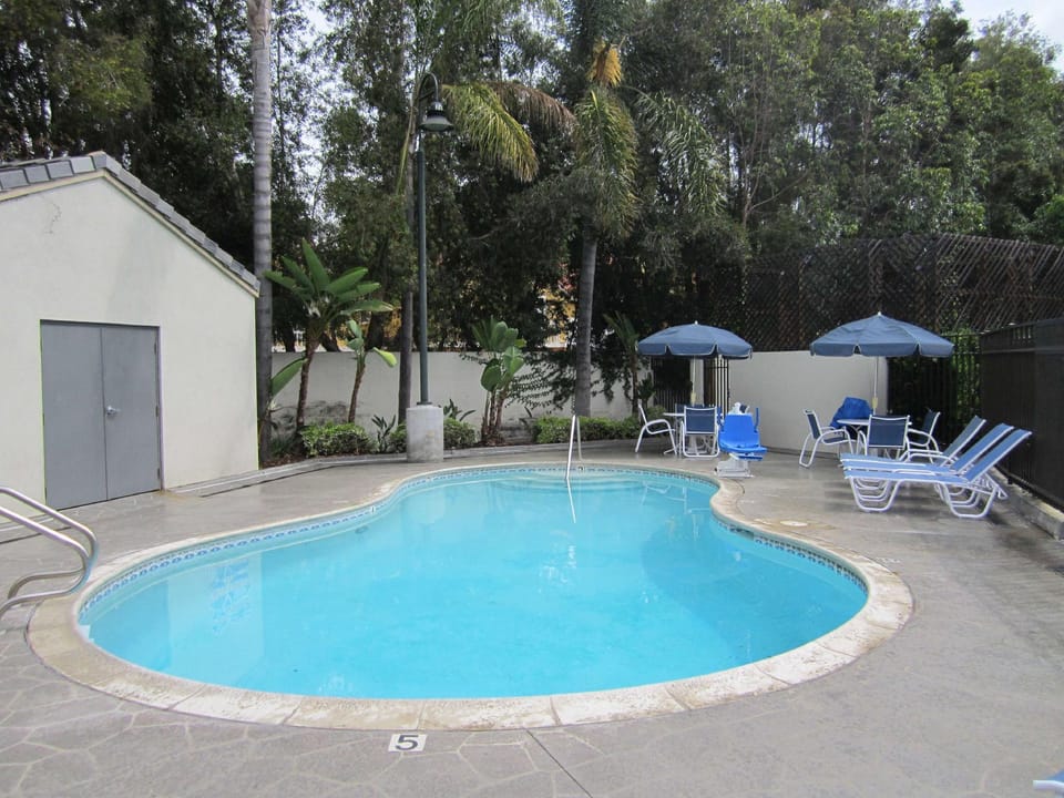 Swimming pool [outdoor]