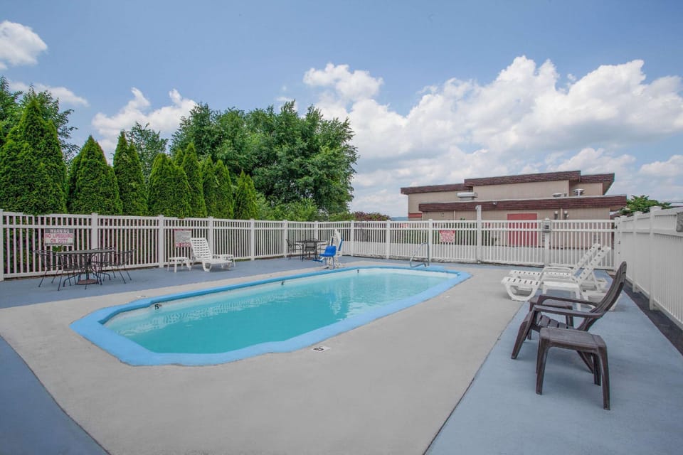 Swimming pool [outdoor]