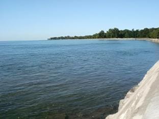Surrounding environment