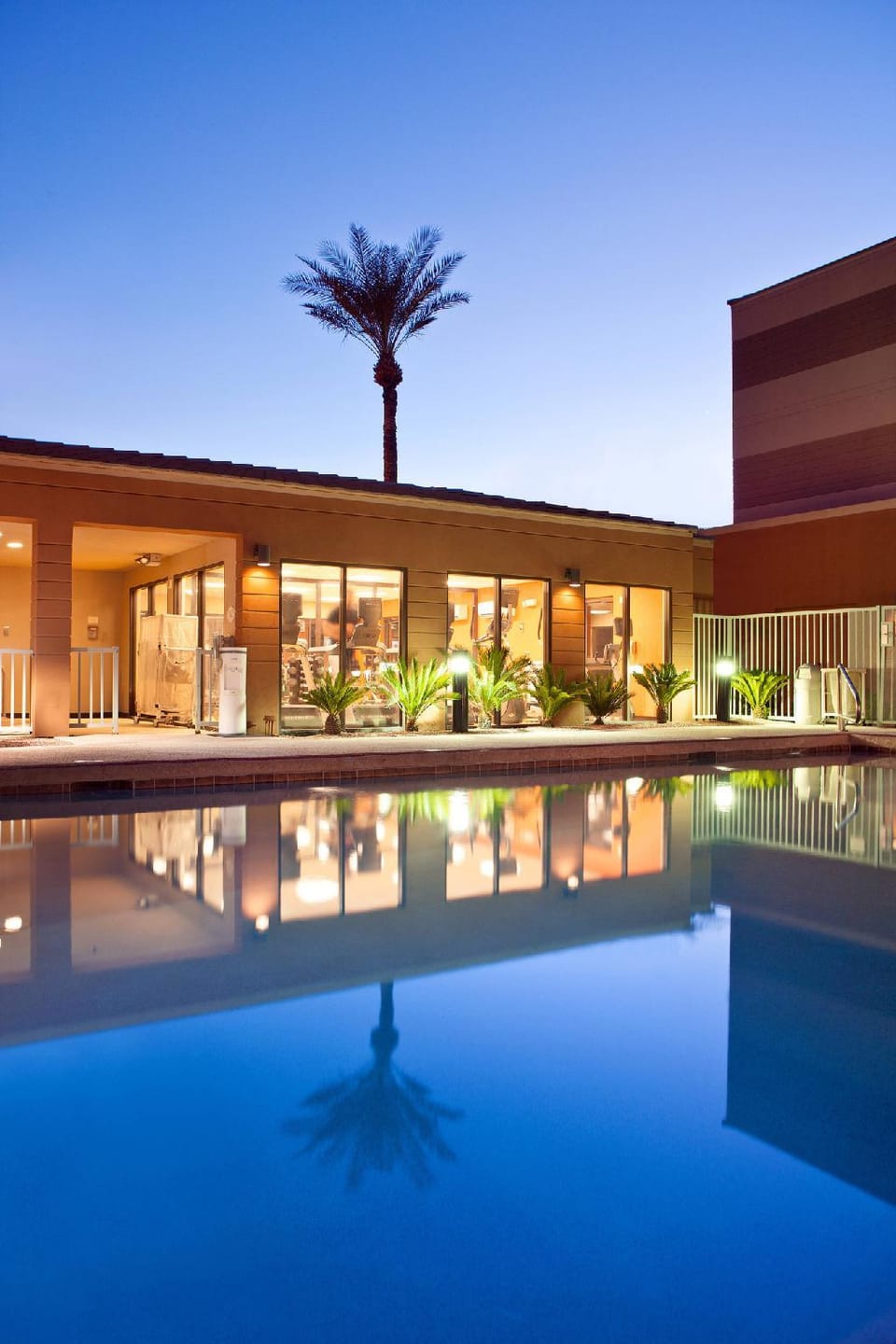 Swimming pool [outdoor]