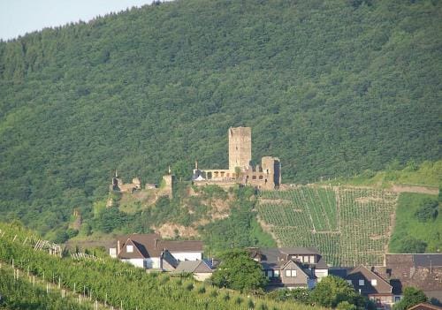 Pension Mosellablick Hotel in Cochem-Zell