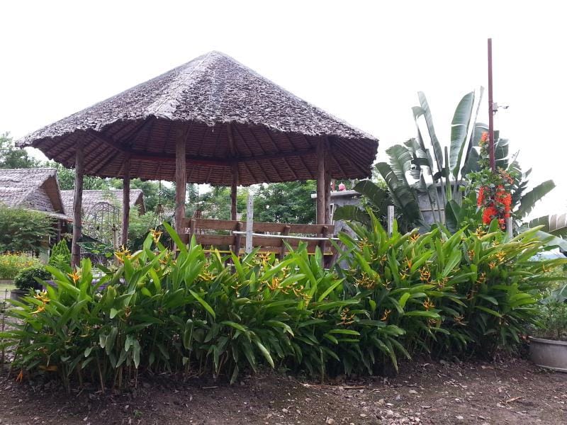 Exterior view