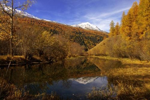 Hotel Chavalatsch Inn in Canton of Grisons