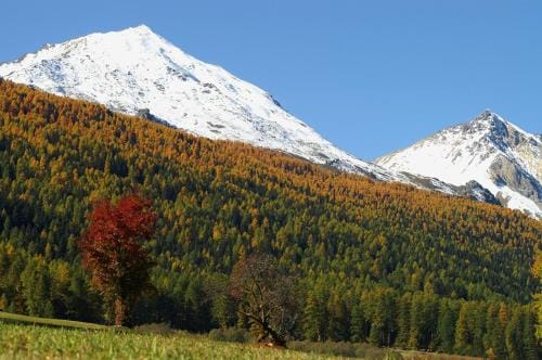 Hotel Chavalatsch Inn in Canton of Grisons