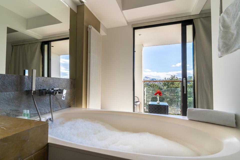 Hotel Palisad Hotel in Zlatibor