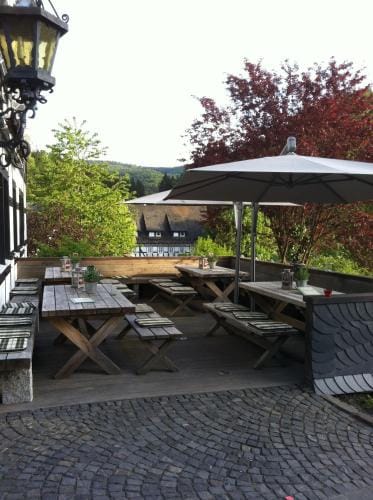 Hotel & Gasthof Hubertushohe - Ihr Hotel fur Urlaub mit Hund Hotel in Schmallenberg