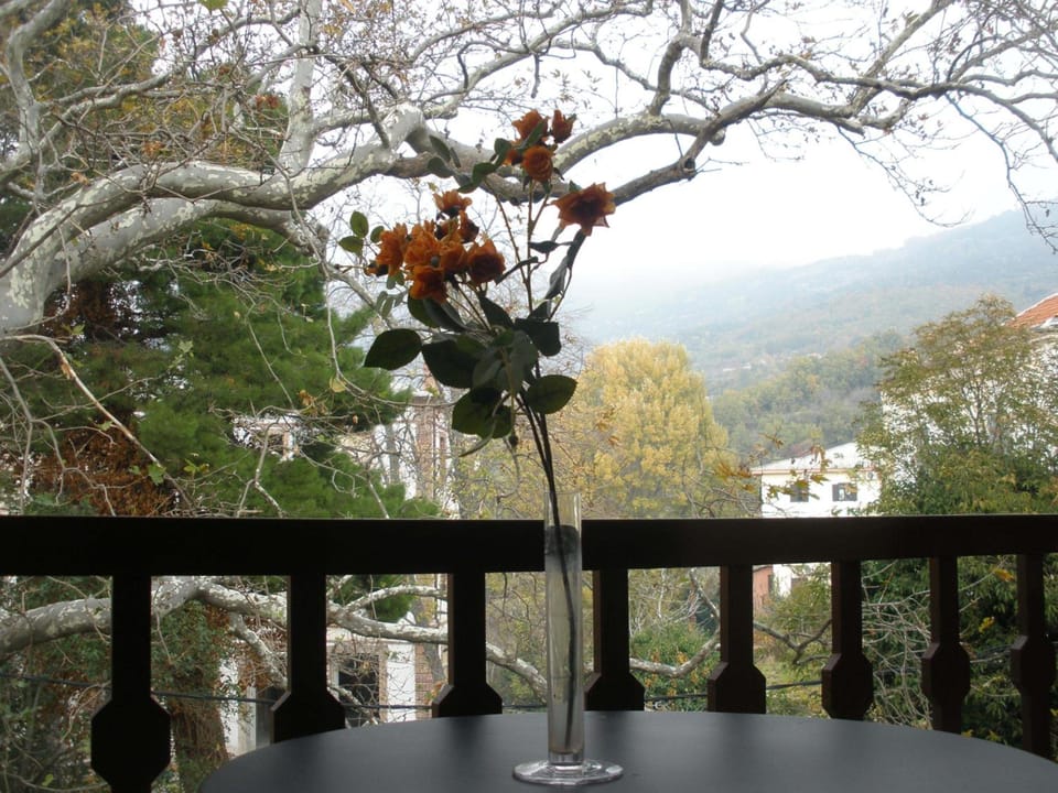 Pelias Hotel Hotel in Magnesia Prefecture, Greece