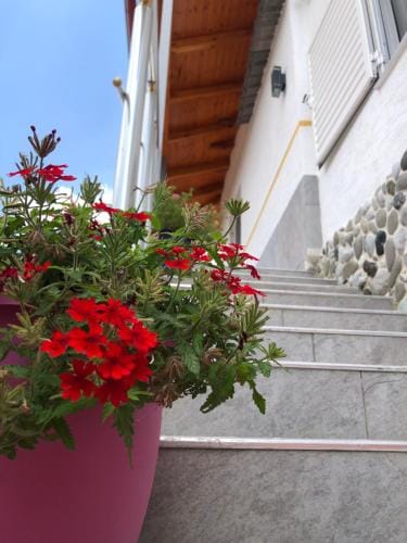 Hotel Apostoli Hotel in North Macedonia
