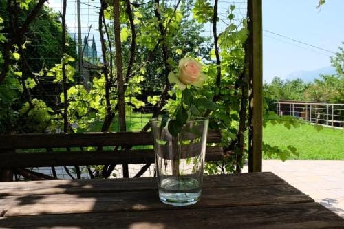 In Collina B&B Hotel in Trentino-South Tyrol