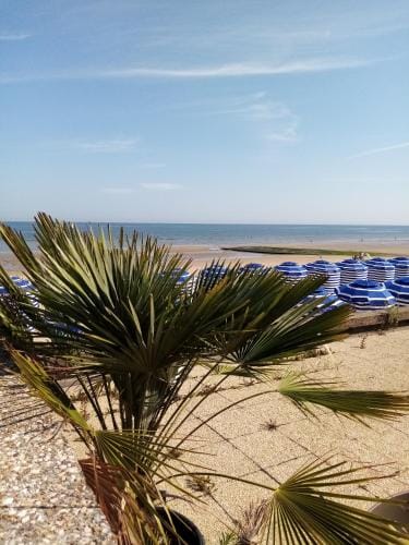O Douceurs Sucrees Cabourg Hotel in Cabourg