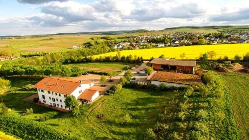 BioWeingut & Landhotel Ganz Hotel in Bad Kreuznach